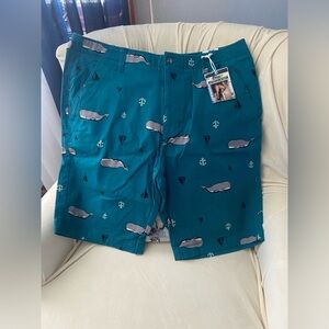 Teal Whale Print Men's Shorts